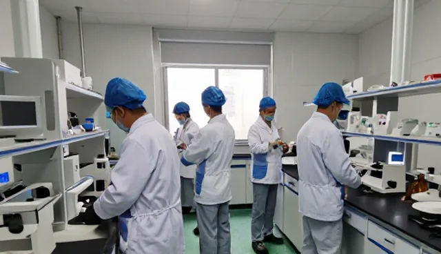 水电改造施工中材料选择与管道布局的常见问题与处理方法